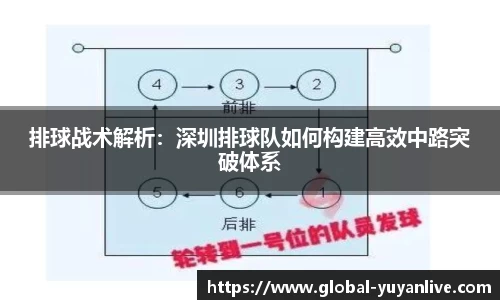 雨燕体育直播